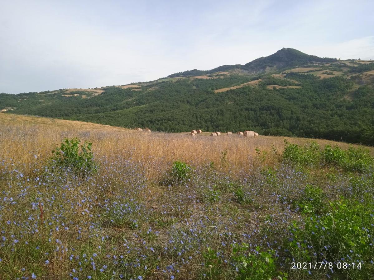 Due Principi E Una Fata Sestola Dış mekan fotoğraf